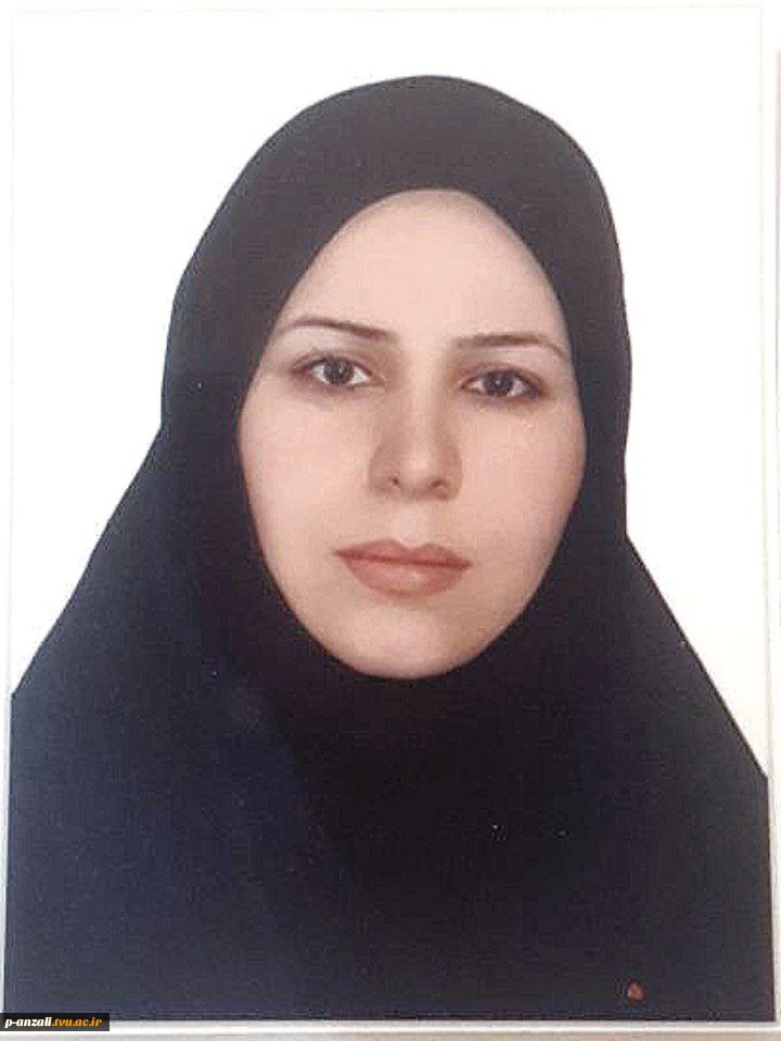 کارشناسان اداره 2