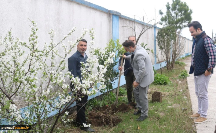 کاشت نهال میوه به مناسبت روز درختکاری 4